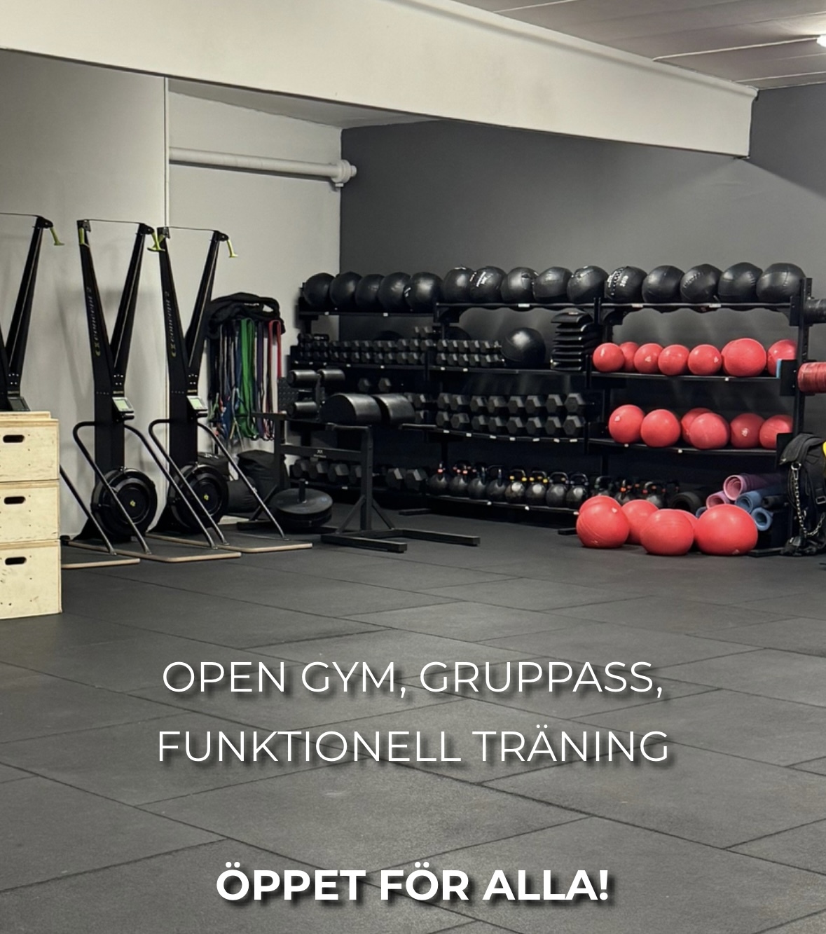 Dagskort gym (giltigt samma dag)